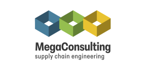 Megaconsulting